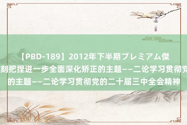 【PBD-189】2012年下半期プレミアム傑作選 新华社驳倒员：深刻把捏进一步全面深化矫正的主题——二论学习贯彻党的二十届三中全会精神