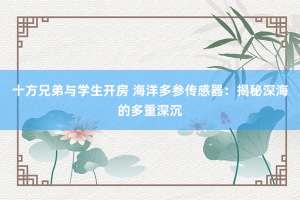 十方兄弟与学生开房 海洋多参传感器：揭秘深海的多重深沉