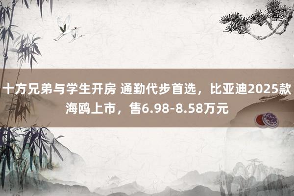 十方兄弟与学生开房 通勤代步首选，比亚迪2025款海鸥上市，售6.98-8.58万元