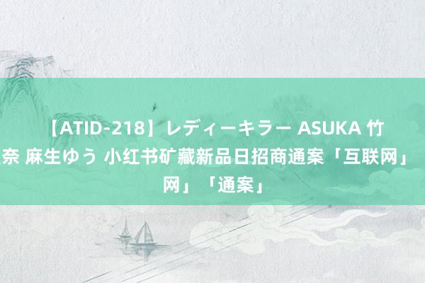 【ATID-218】レディーキラー ASUKA 竹内紗里奈 麻生ゆう 小红书矿藏新品日招商通案「互联网」「通案」