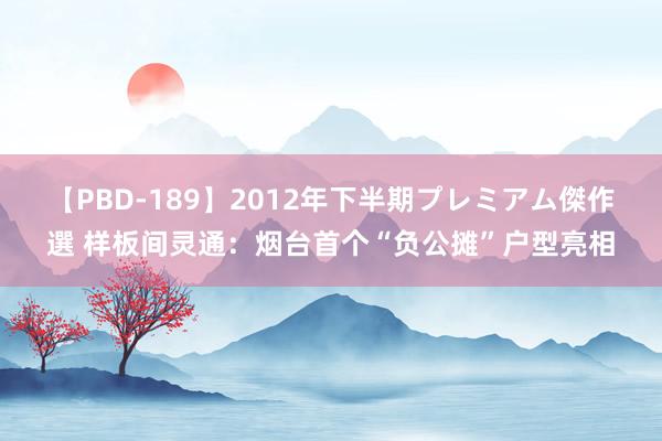 【PBD-189】2012年下半期プレミアム傑作選 样板间灵通：烟台首个“负公摊”户型亮相