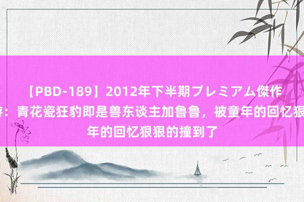 【PBD-189】2012年下半期プレミアム傑作選 梦境西游：青花瓷狂豹即是兽东谈主加鲁鲁，被童年的回忆狠狠的撞到了