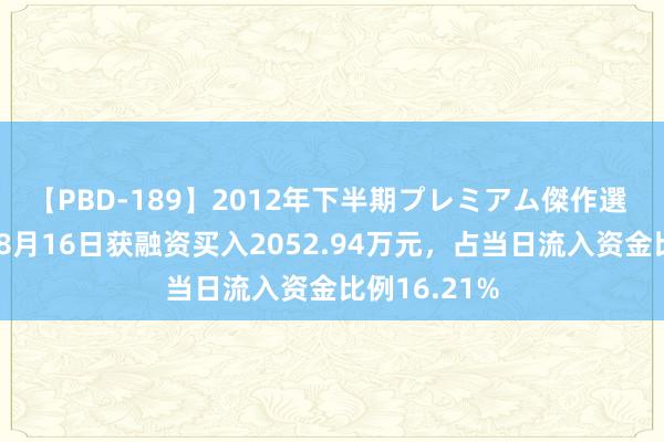 【PBD-189】2012年下半期プレミアム傑作選 苏大维格：8月16日获融资买入2052.94万元，占当日流入资金比例16.21%