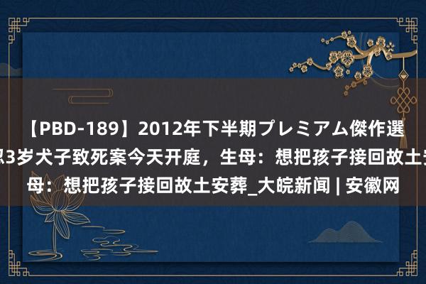 【PBD-189】2012年下半期プレミアム傑作選 ﻿生父与情东说念主残忍3岁犬子致死案今天开庭，生母：想把孩子接回故土安葬_大皖新闻 | 安徽网