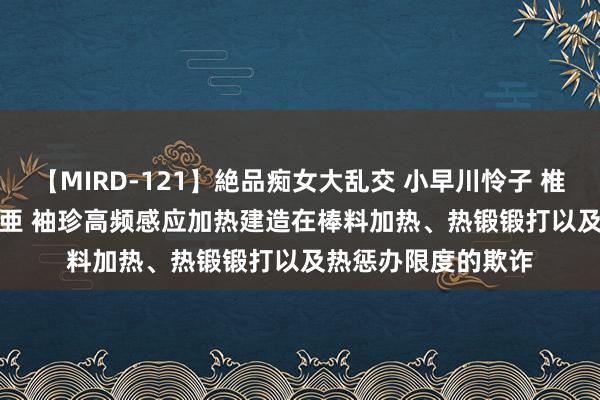 【MIRD-121】絶品痴女大乱交 小早川怜子 椎名ゆな ASUKA 乃亜 袖珍高频感应加热建造在棒料加热、热锻锻打以及热惩办限度的欺诈