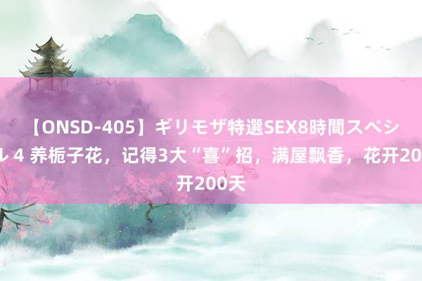 【ONSD-405】ギリモザ特選SEX8時間スペシャル 4 养栀子花，记得3大“喜”招，满屋飘香，花开200天