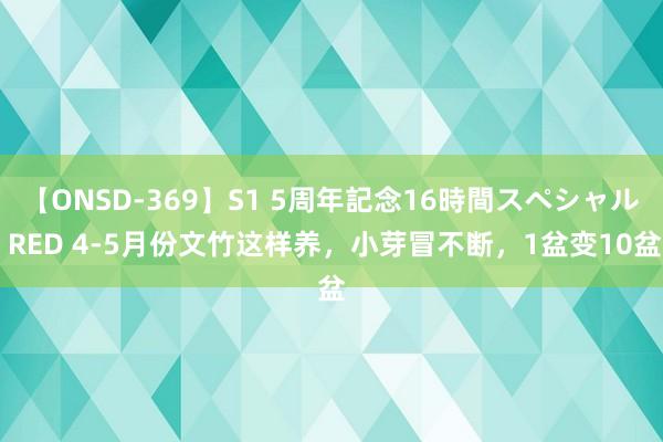 【ONSD-369】S1 5周年記念16時間スペシャル RED 4-5月份文竹这样养，小芽冒不断，1盆变10盆