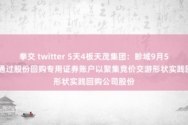 拳交 twitter 5天4板天茂集团：畛域9月5日 公司暂未通过股份回购专用证券账户以聚集竞价交游形状实践回购公司股份