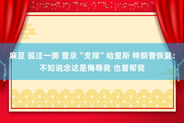 麻豆 孤注一掷 普京“支撑”哈里斯 特朗普恢复：不知说念这是侮辱我 也曾帮我