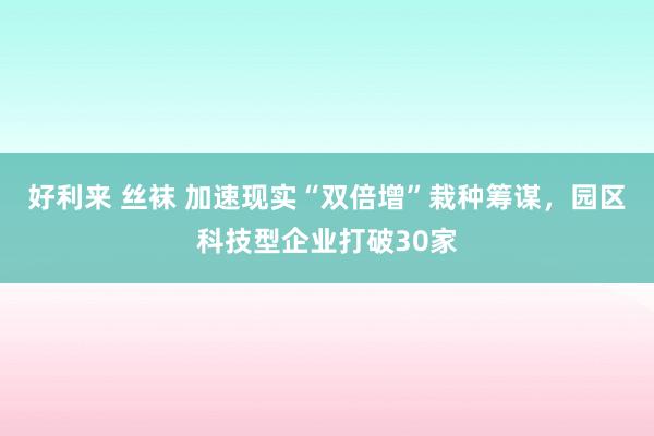 好利来 丝袜 加速现实“双倍增”栽种筹谋，园区科技型企业打破30家