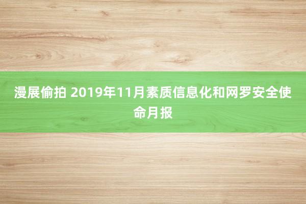 漫展偷拍 2019年11月素质信息化和网罗安全使命月报